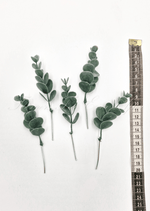 Artificial wedding foliage pieces with five faux eucalyptus sprigs and rounded dark green leaves shown beside a measuring tape. Made in Melbourne by Flowers For Ever After, shipping Australia and Worldwide.