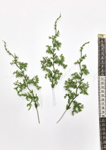 Artificial wedding foliage pieces with three branching faux green sprigs and finely divided leaves shown beside a measuring tape. Made in Melbourne by Flowers For Ever After, shipping Australia and Worldwide.